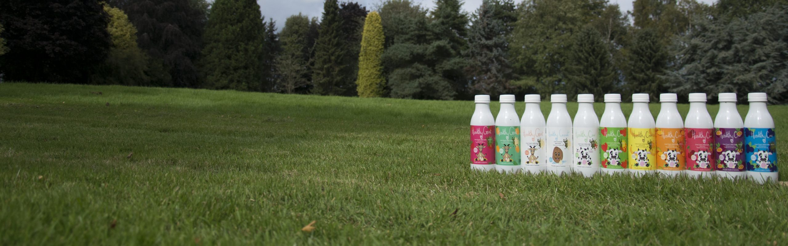 Live Kefir Company